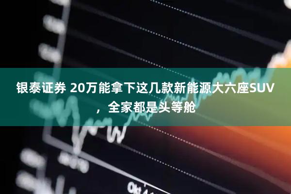 银泰证券 20万能拿下这几款新能源大六座SUV，全家都是头等舱